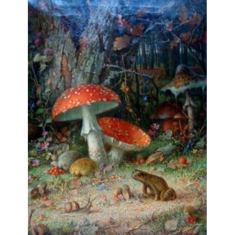 Olieverf - Jan de Boer - Herfst - Paddenstoelen - gesigneerd