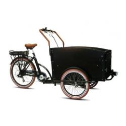 Beesd: Troy elektrische bakfiets driewieler elektrisch fiets