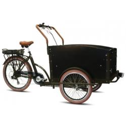 Beesd: Troy elektrische bakfiets driewieler elektrisch fiets