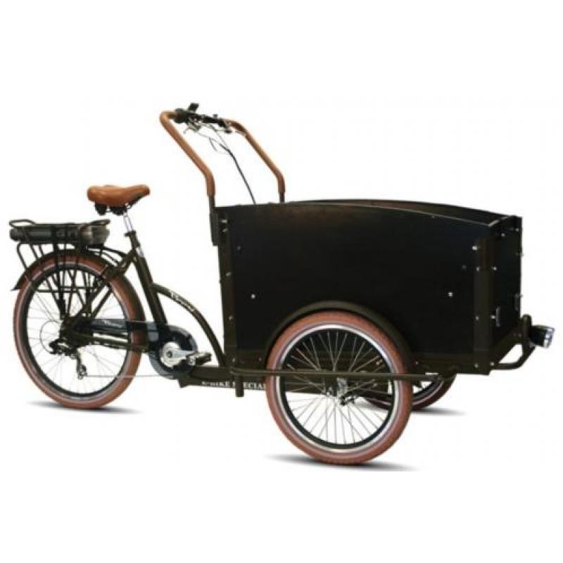 Beesd: Troy elektrische bakfiets driewieler elektrisch fiets